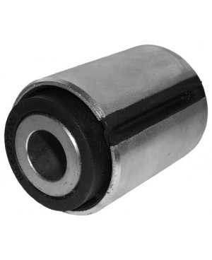 Bushing, leaf spring