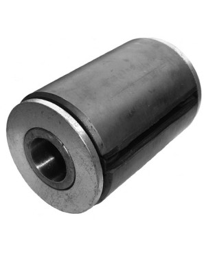 Spring eye bushing