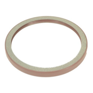 Oil seal, crank shaft