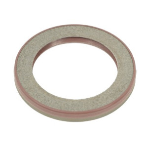 Oil seal