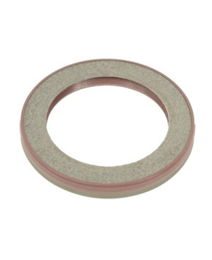 Oil seal