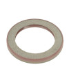 Oil seal