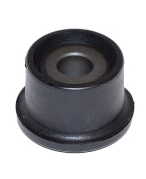 Bushing, leaf spring