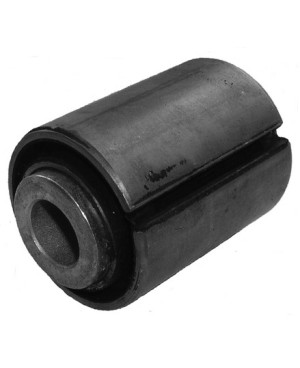 Spring eye bushing