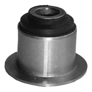 Spring eye bushing