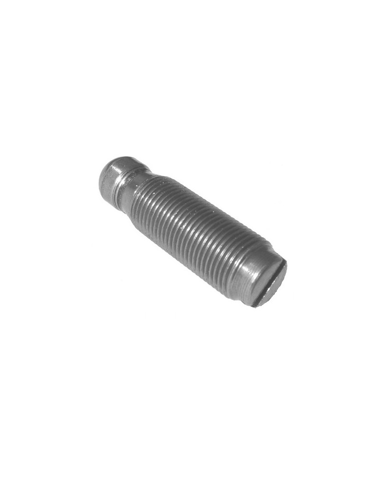 Adjustable bolt