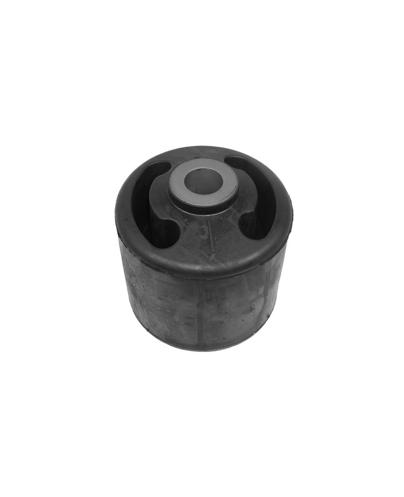 Bushing, leaf spring