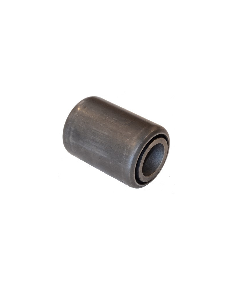 Bushing, leaf spring