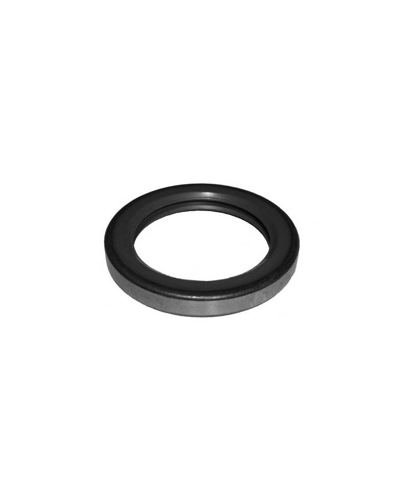 Oil seal