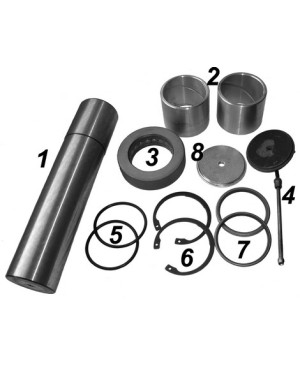 Repair kit king pin