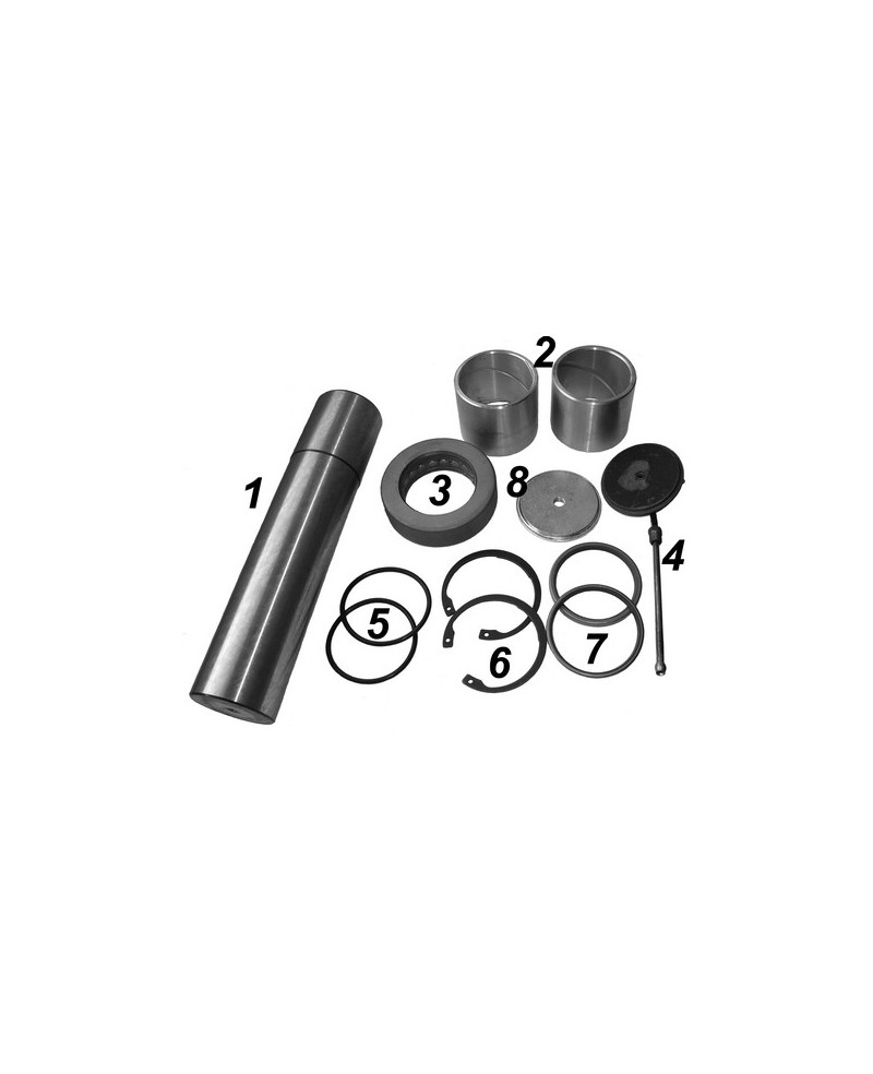 Repair kit king pin