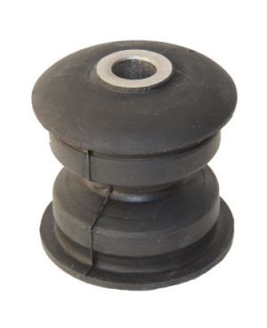 Bushing, leaf spring