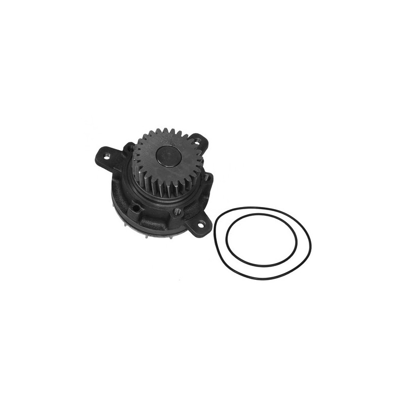 Water pump with seal rings
