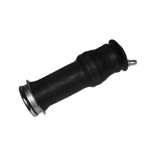 Air spring for cabin, front and rear