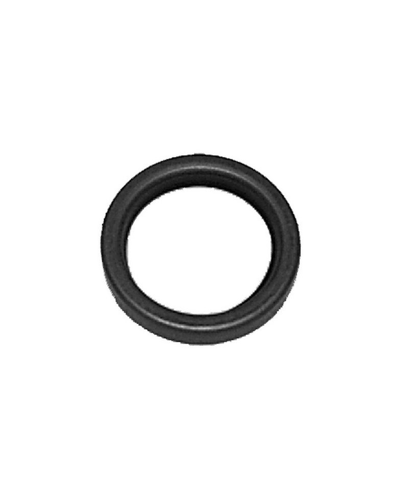 Oil seal for brake camshaft