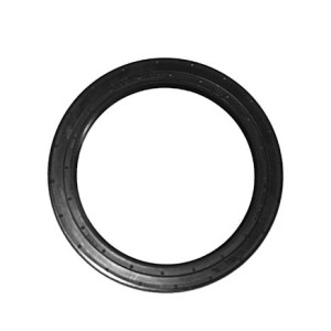 Oil seal