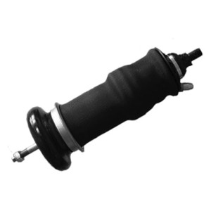 Air spring for cabin, front and rear