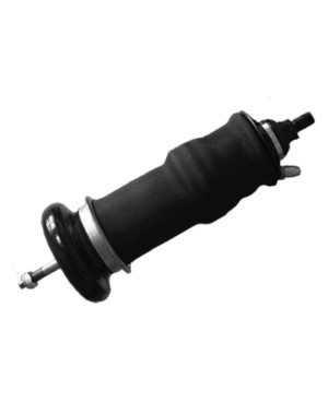 Air spring for cabin, front and rear