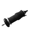 Air spring for cabin, front and rear