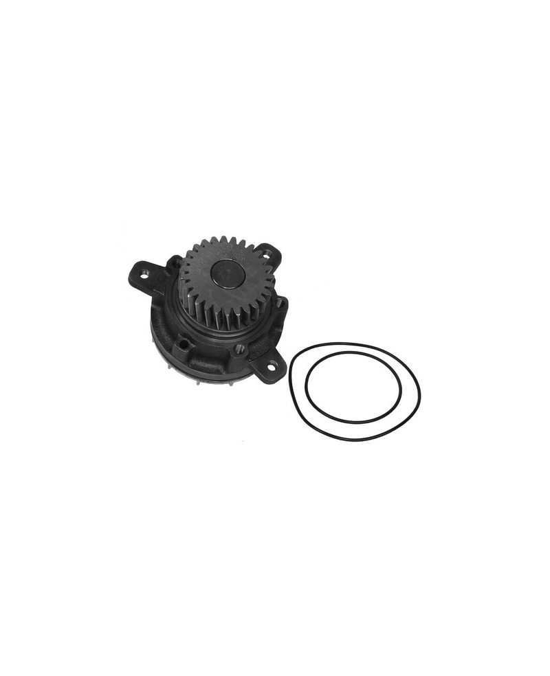 Water pump with seal rings